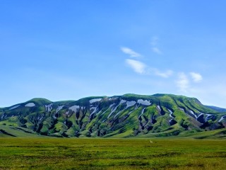 Green Moss – Landmannalaugar