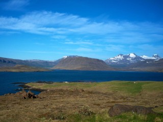 Whale Fjord