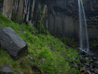 Svartifoss Skaftafell